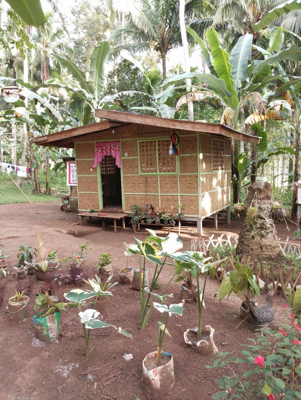 Ate Juliet's home after Project Starfish